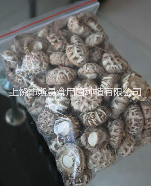 斯昊菌業(yè){香菇}圖片/斯昊菌業(yè){香菇}樣板圖 (2)