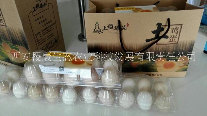 土雞蛋圖片/土雞蛋樣板圖 (2)