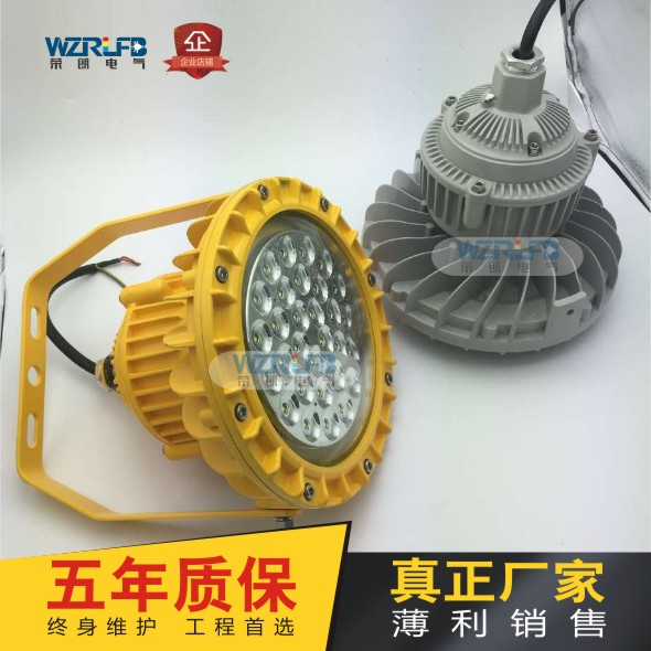 RLB154LED防爆泛光燈圖片
