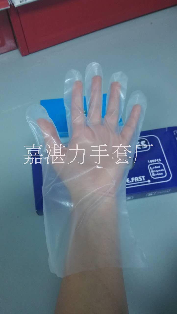 一次性食品专用手套图片