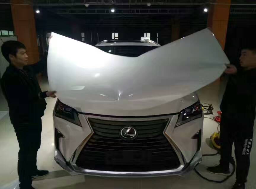 石家莊車衣圖片/石家莊車衣樣板圖 (3)