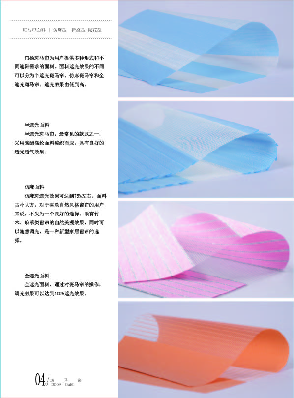 電動斑馬圖片/電動斑馬樣板圖 (3)