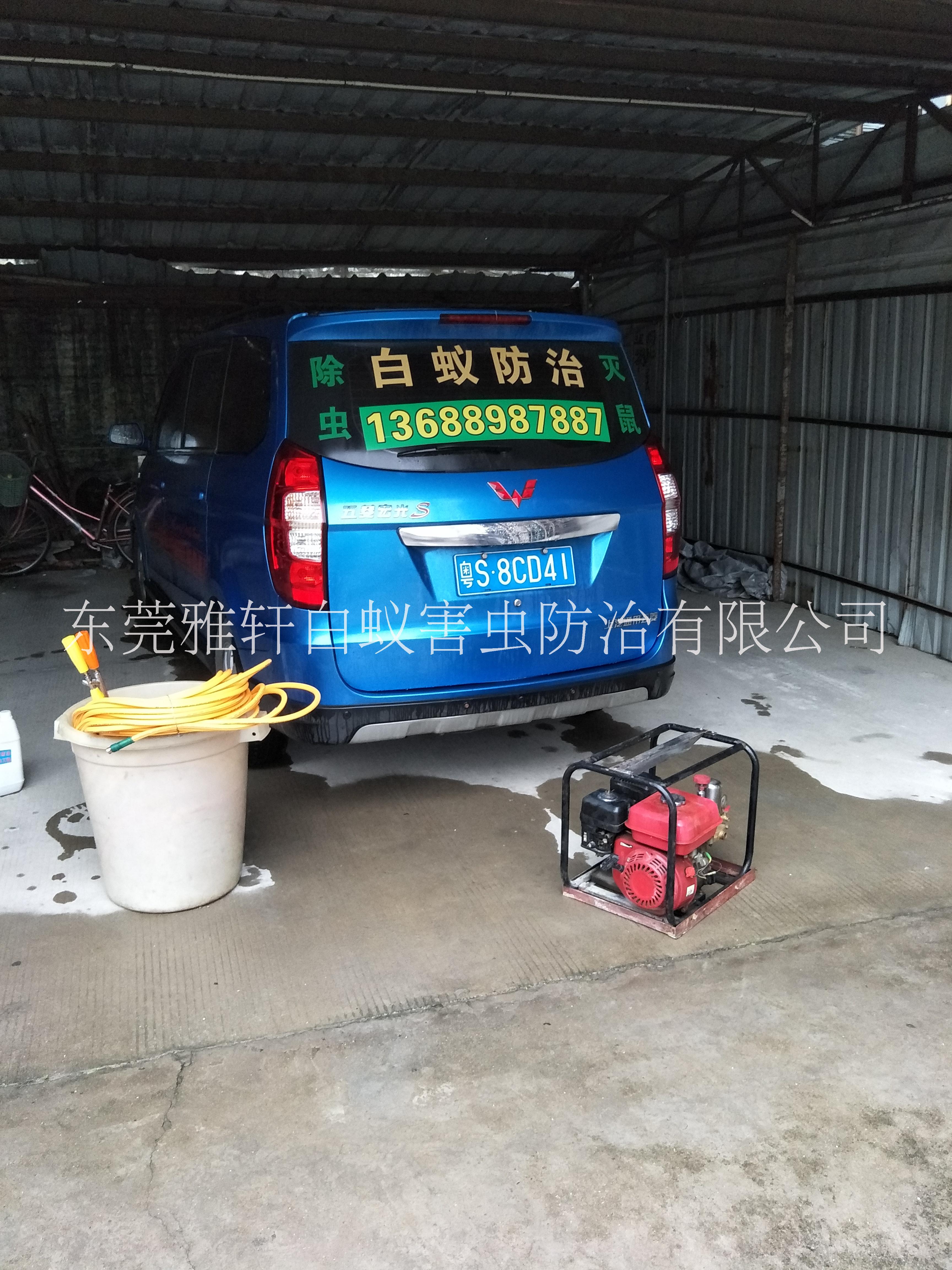 滅鼠滅蟲圖片/滅鼠滅蟲樣板圖 (2)