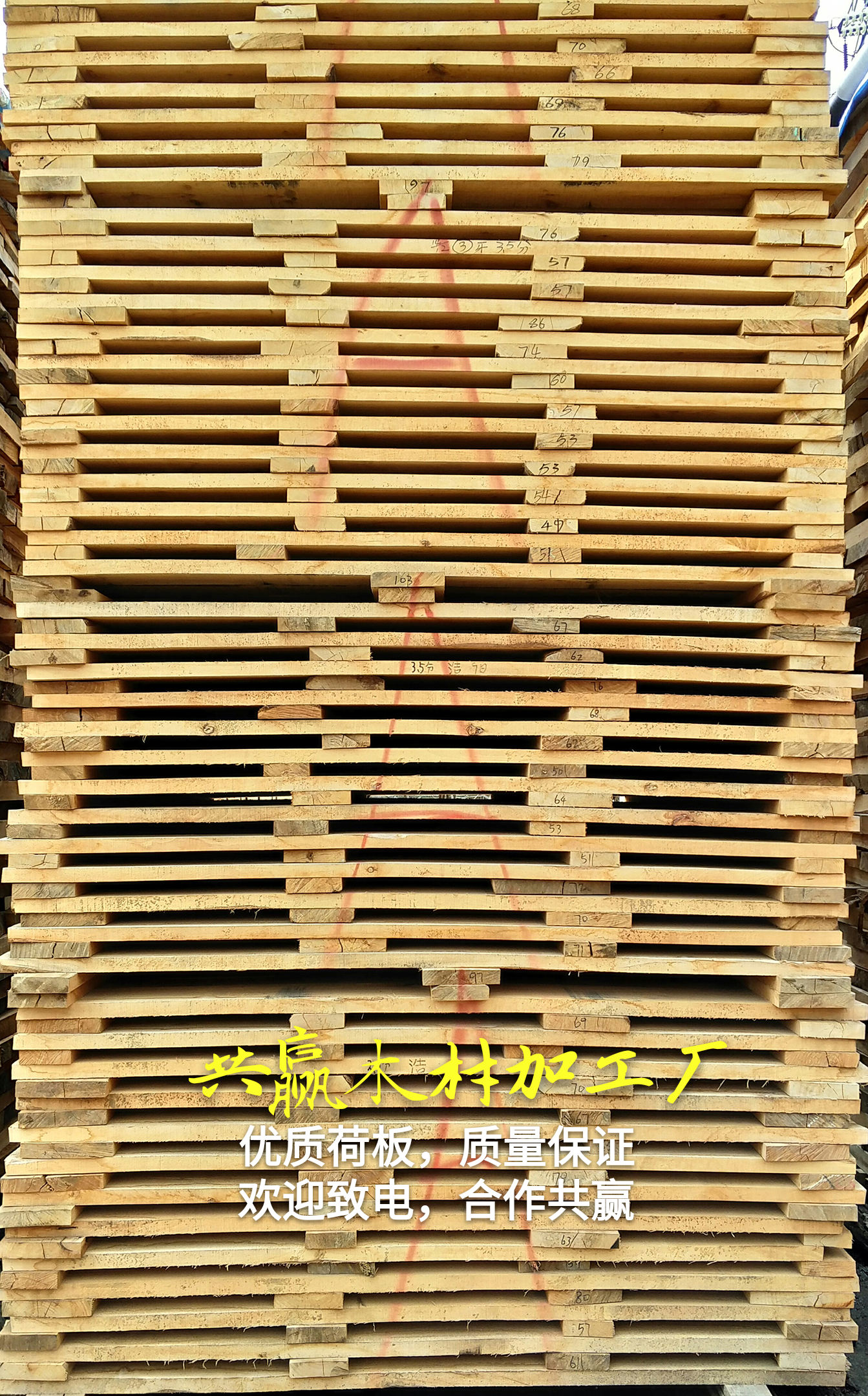 荷木板圖片/荷木板樣板圖 (1)