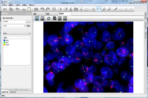 雜交圖片/雜交樣板圖 (1)