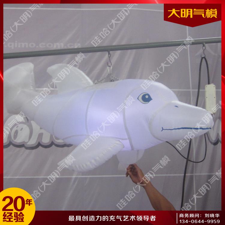 海豚氣模圖片/海豚氣模樣板圖 (2)