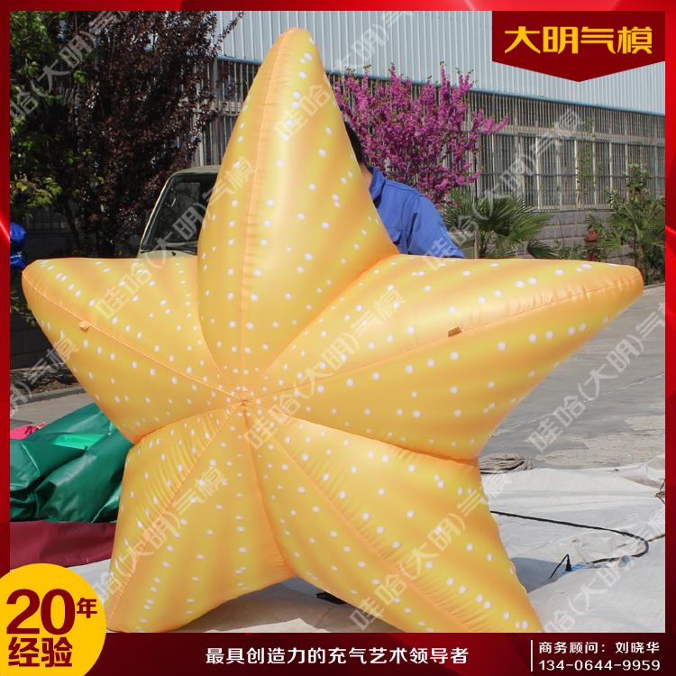 海星氣模圖片