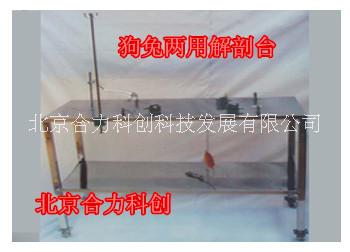電熱兔狗兩用解剖臺(tái)圖片/電熱兔狗兩用解剖臺(tái)樣板圖 (1)