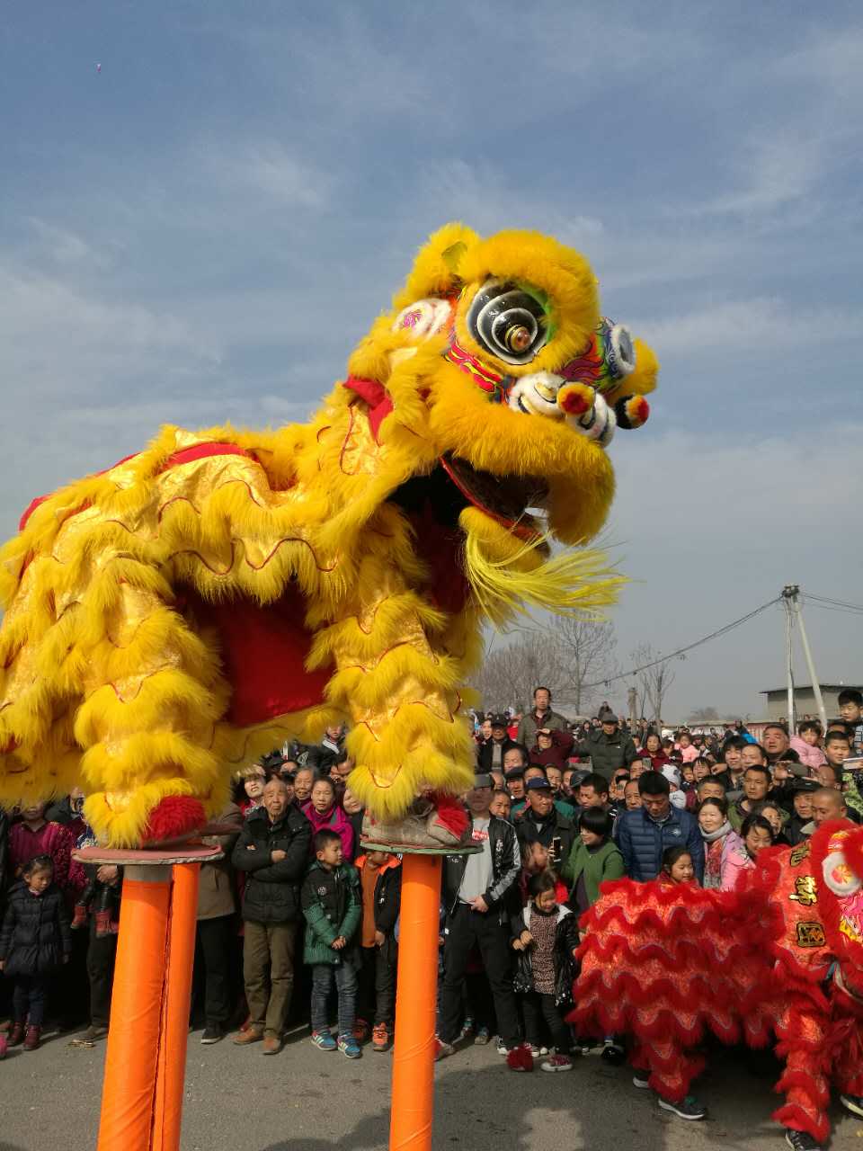 郑州舞狮梅花桩舞狮开业舞狮庆典舞狮 郑州舞狮梅花桩舞狮高台舞狮图片