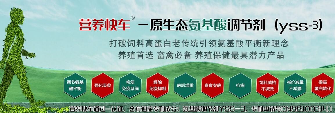 犊牛的饲喂技术及饲料选择用农博力尔犊牛健壮素图片