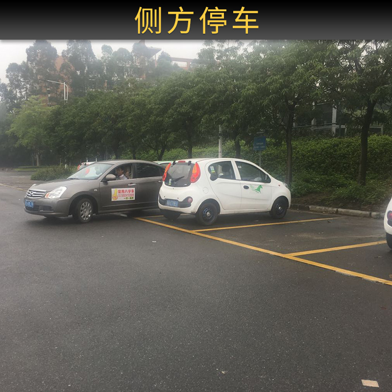 侧方停车 培训驾车证理论 机动车驾车证培训  驾校学车科目图片