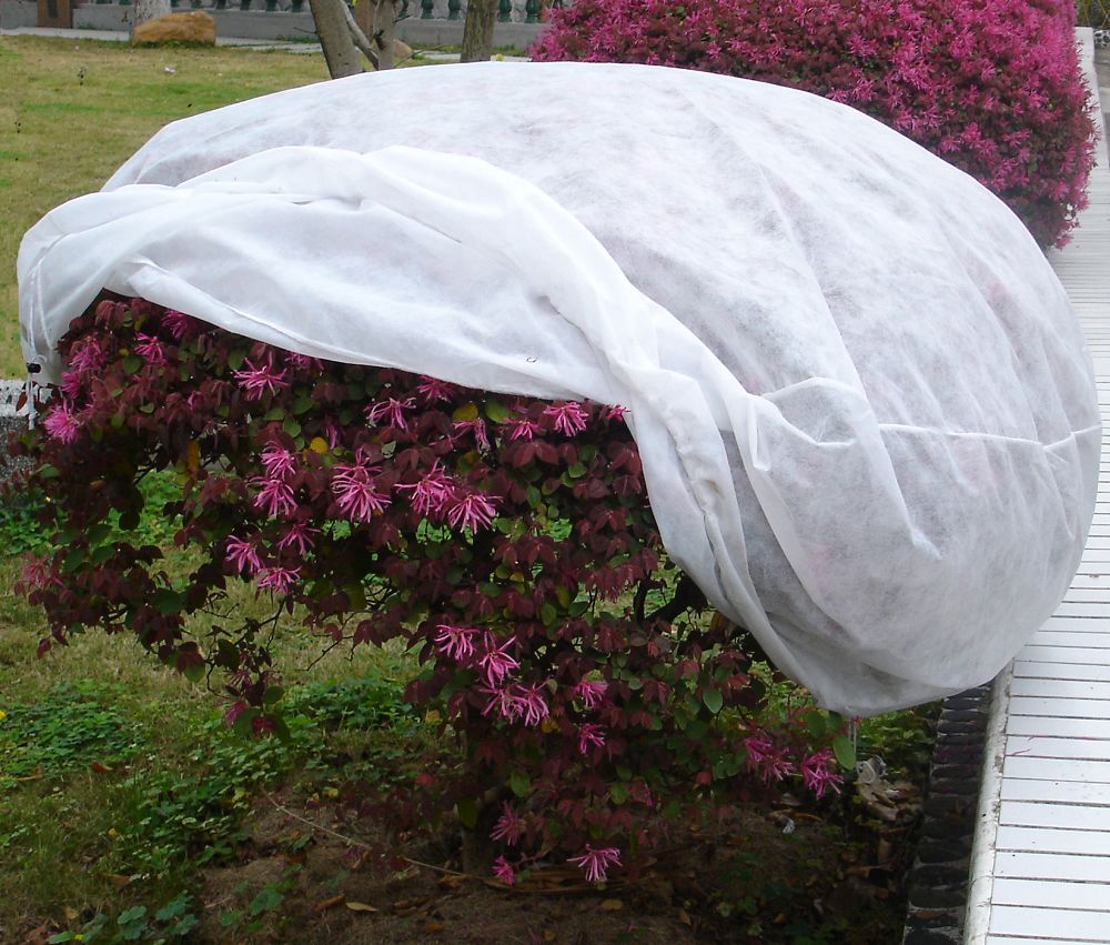 農(nóng)用無(wú)紡布廠家圖片