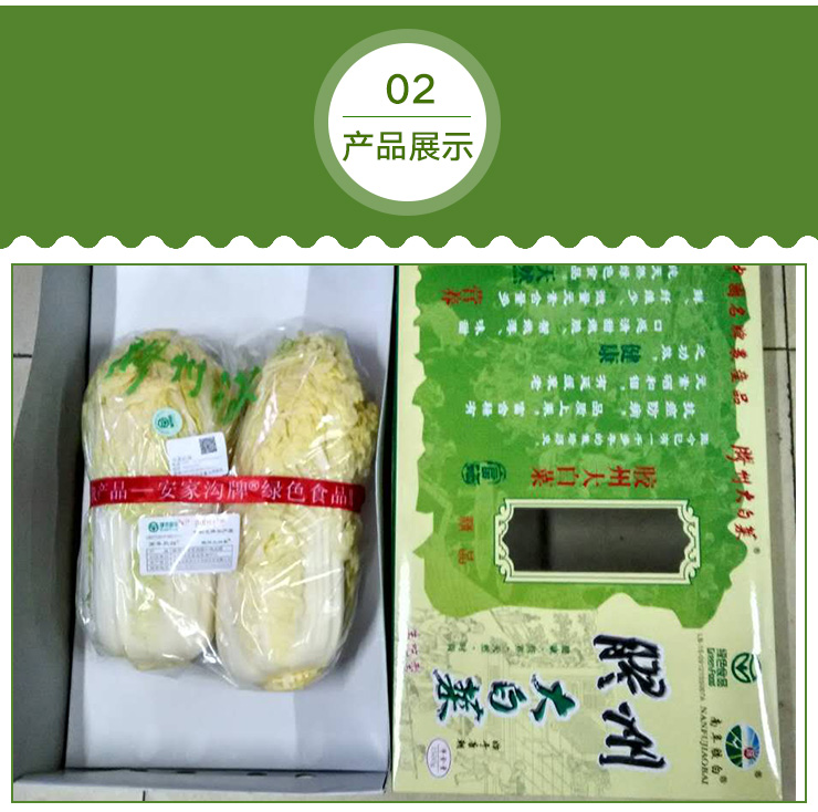 青岛黄金大白菜青岛黄金大白菜哪里有卖青岛黄金大白菜批发图片