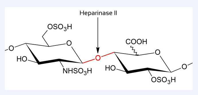 供应肝素酶II（heparinase II）图片