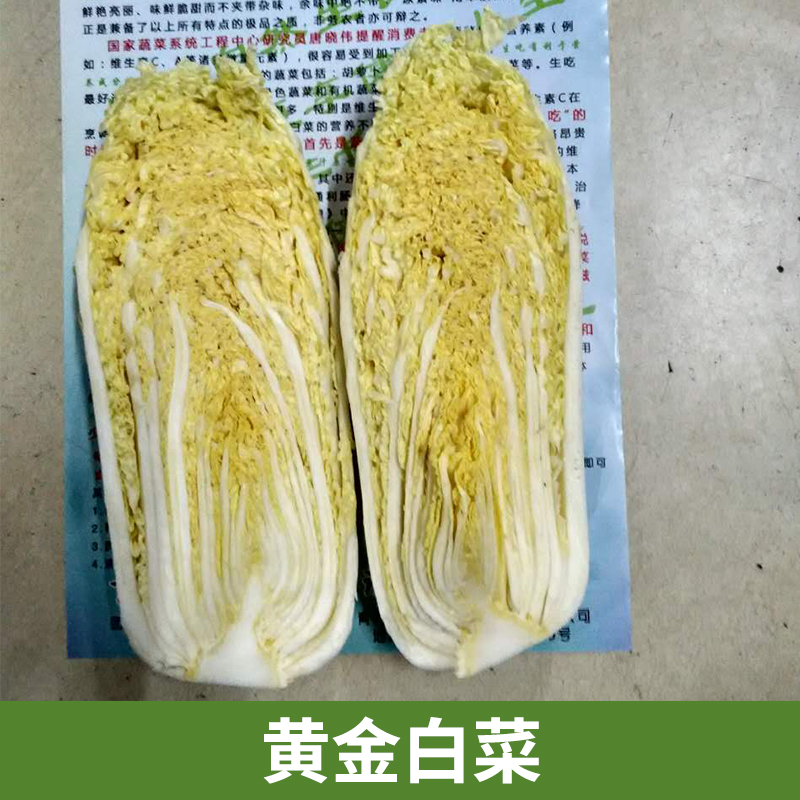 苏州黄金大白菜苏州黄金大白菜批发苏州黄金大白菜哪里有卖图片