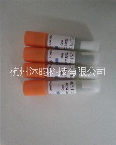 滅菌生物指示劑圖片/滅菌生物指示劑樣板圖 (2)