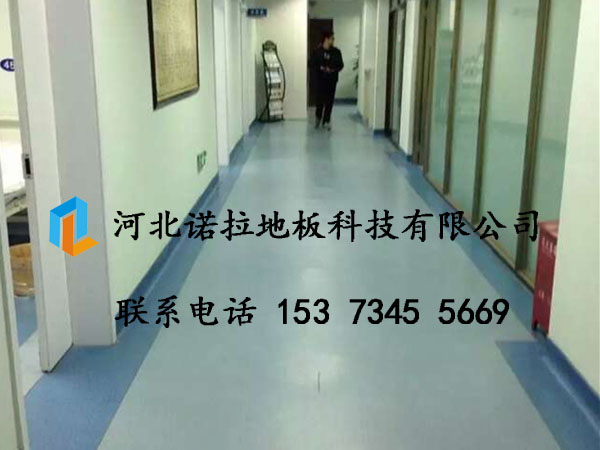 pvc卷材地板廠家圖片/pvc卷材地板廠家樣板圖 (4)