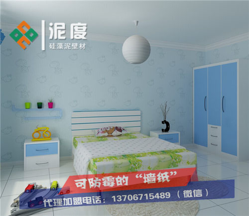 江蘇宿遷泥度硅藻泥是什么？