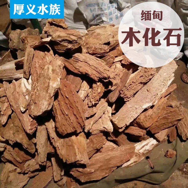 山东滨州木化石联系方式缅甸木化石水族箱鱼缸造景批发价格图片