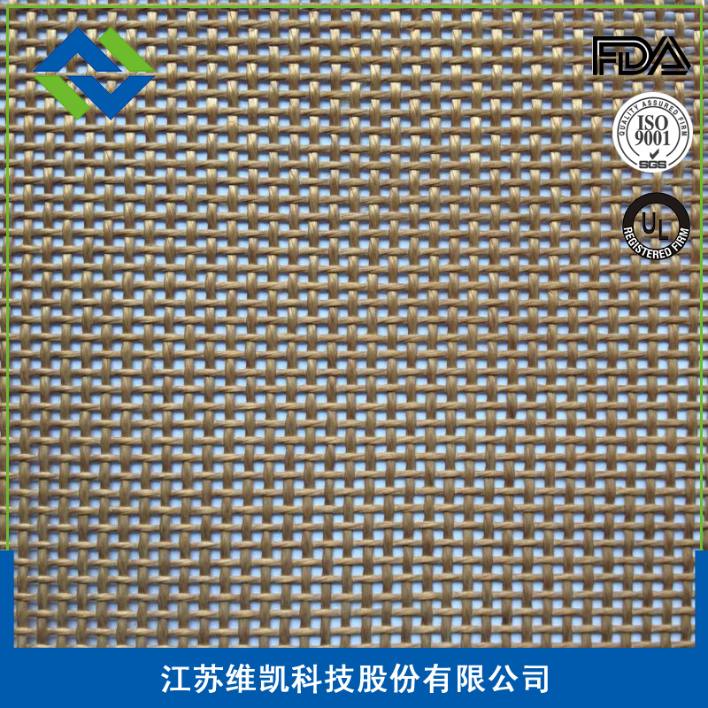 特氟龍細(xì)網(wǎng)孔網(wǎng)帶1MM|江蘇維凱圖片