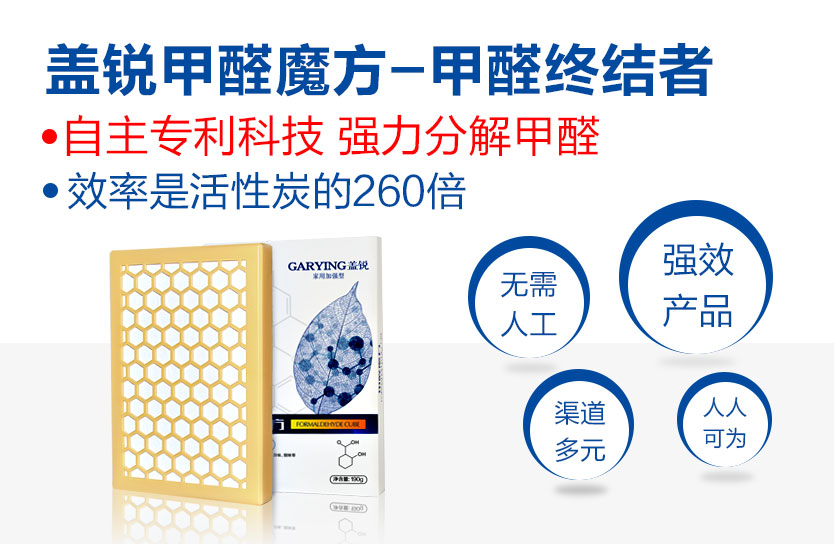 盖锐快速去除车内异味 汽车专用甲醛清除剂非活性炭招商加盟