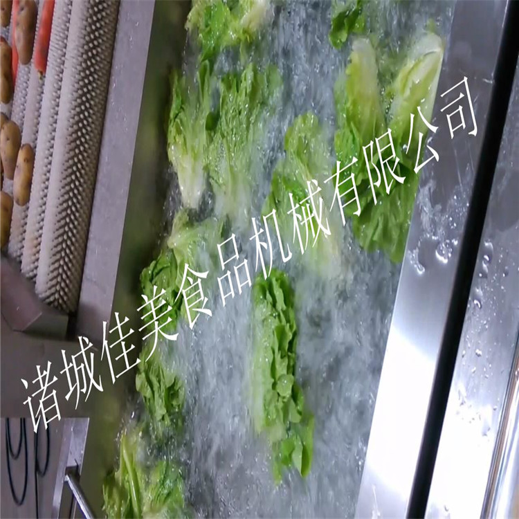 毛刷清洗机滚筒清洗机批发蔬菜清洗机洗菜机多功能气泡清洗机定制厂家菜叶类清洗果蔬清洗设备图片