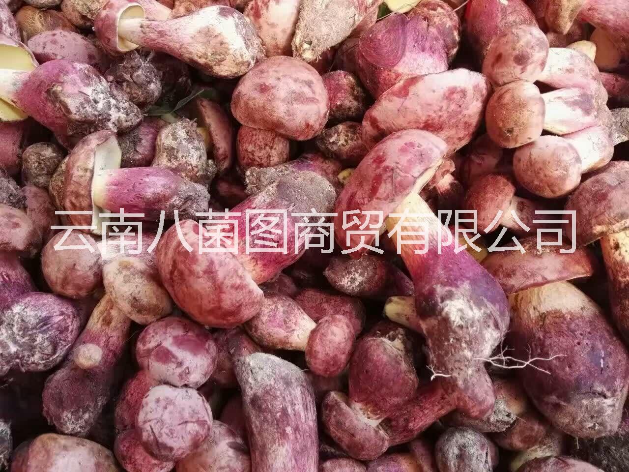 紅蔥菌鮮貨圖片