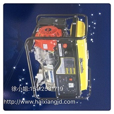 維斯特210汽油發(fā)電機(jī)組出售圖片/維斯特210汽油發(fā)電機(jī)組出售樣板圖 (2)