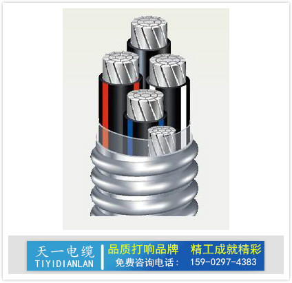 陕西西安YJLHV铝合金电缆陕西天一电缆厂陕西西安电线电缆图片