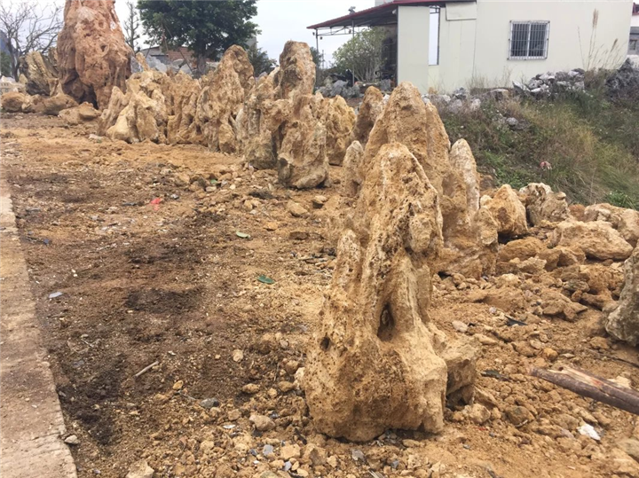 广东吸水石 广东吸水石 广东吸水石批发 广东吸水石零售商