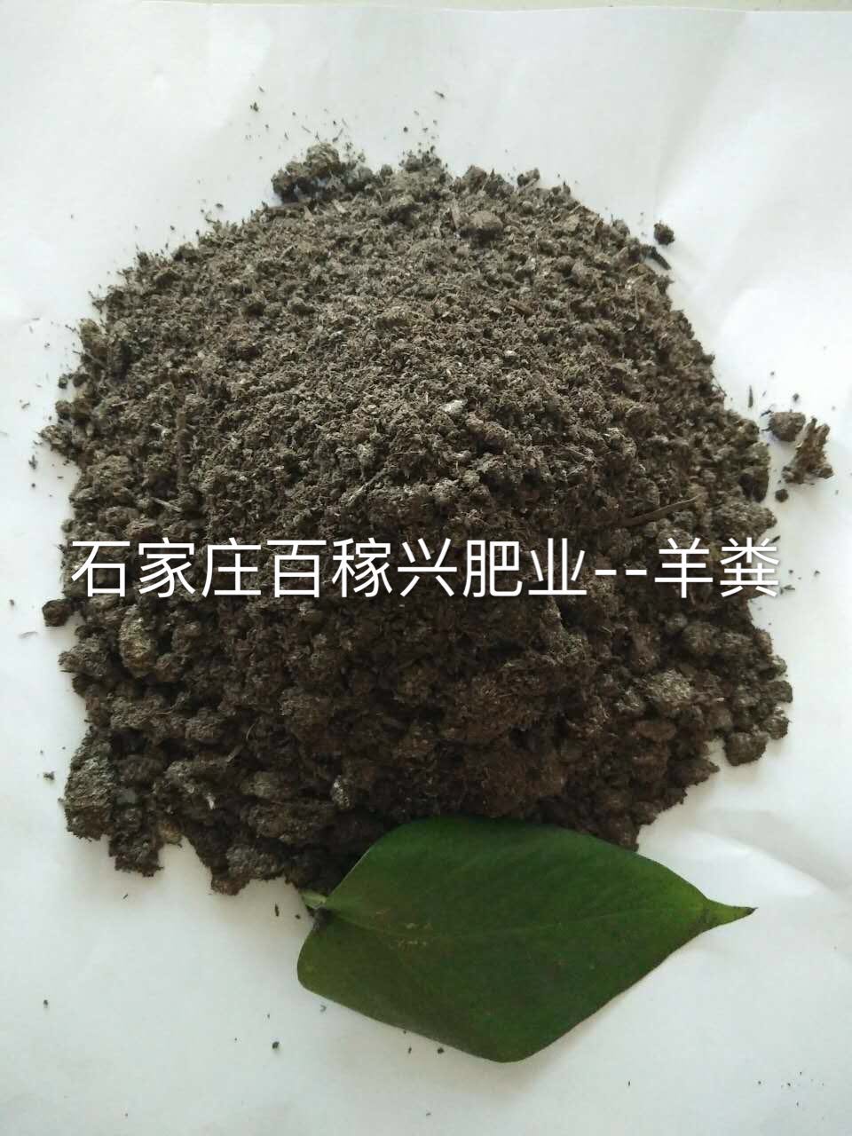 纯羊粪  发酵羊粪有机肥