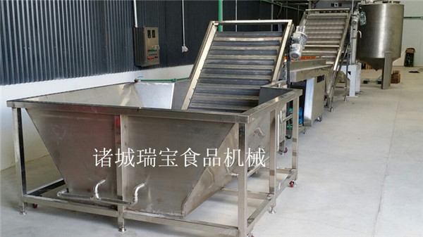 供應(yīng)瑞寶全自動(dòng)洗菜機(jī)