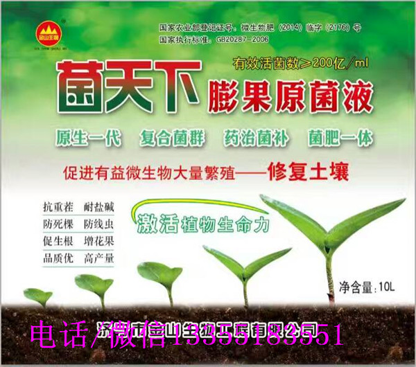 菌天下膨果原菌液，山濟(jì)寧金山生物圖片