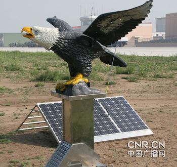 山西智能语音驱鸟器 防鸟刺厂家图片