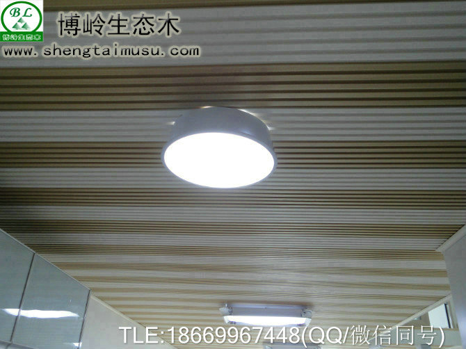 天花輕鋼龍骨圖片/天花輕鋼龍骨樣板圖 (2)