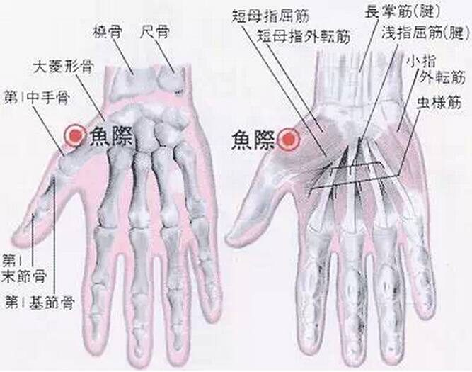 广州专业培训中医针灸，推拿，康复图片