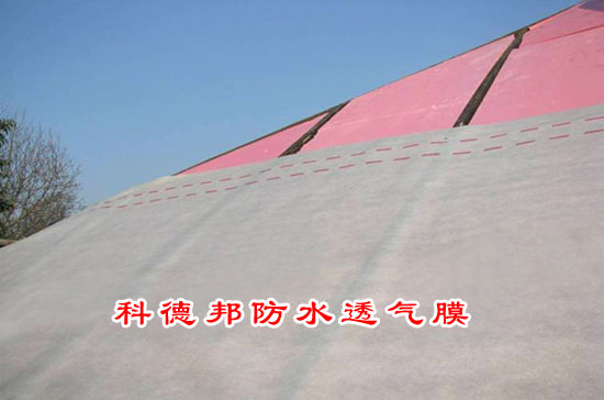 高分子防水透氣膜圖片/高分子防水透氣膜樣板圖 (4)