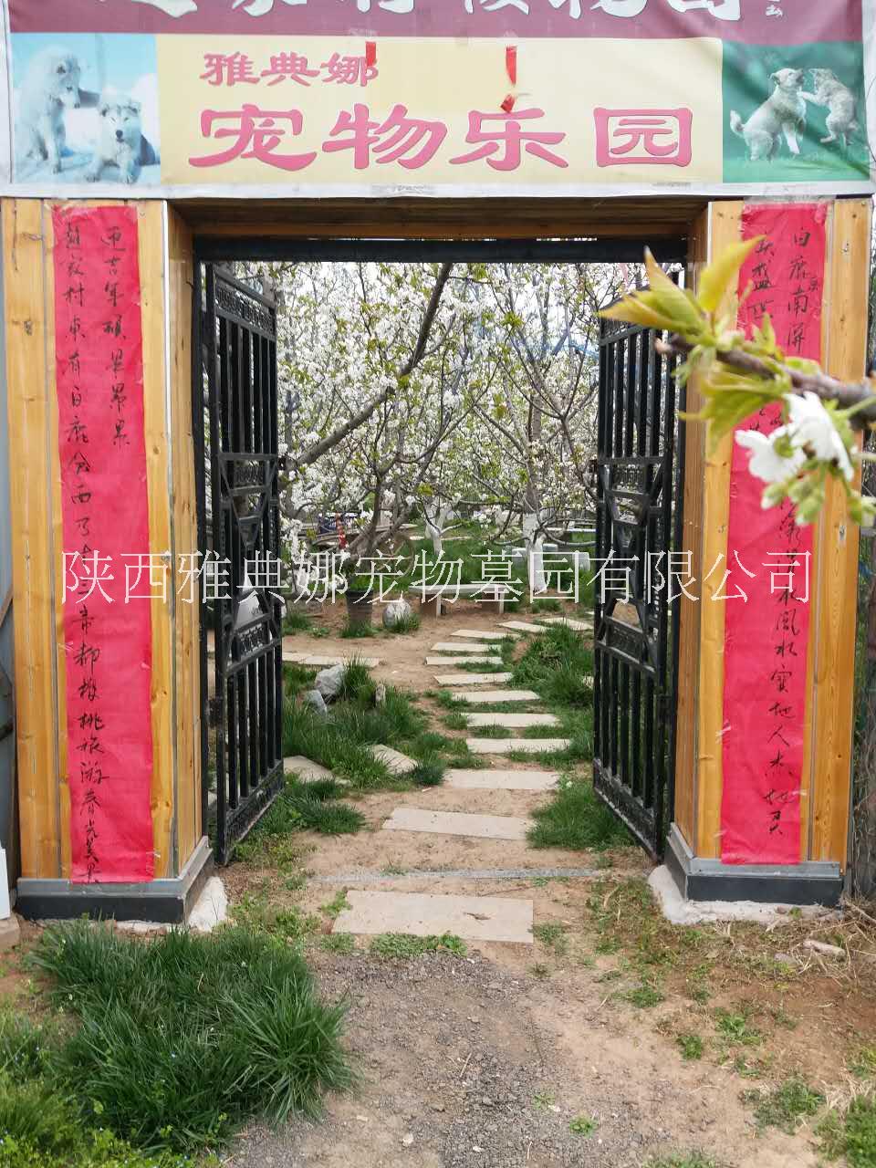 狗狗去世了怎么處理？圖片/狗狗去世了怎么處理？樣板圖 (4)