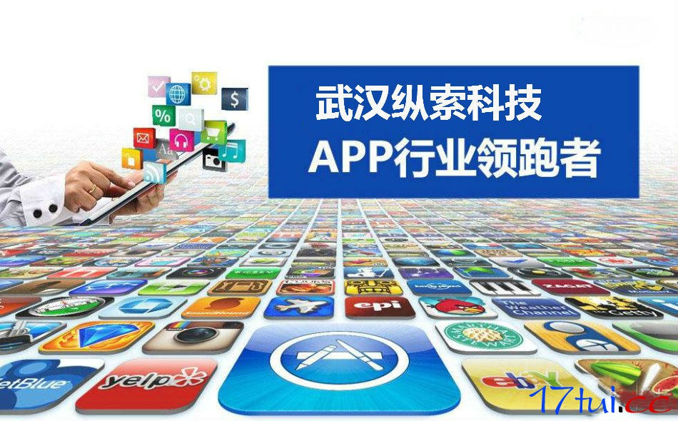 APP开发 软件开发