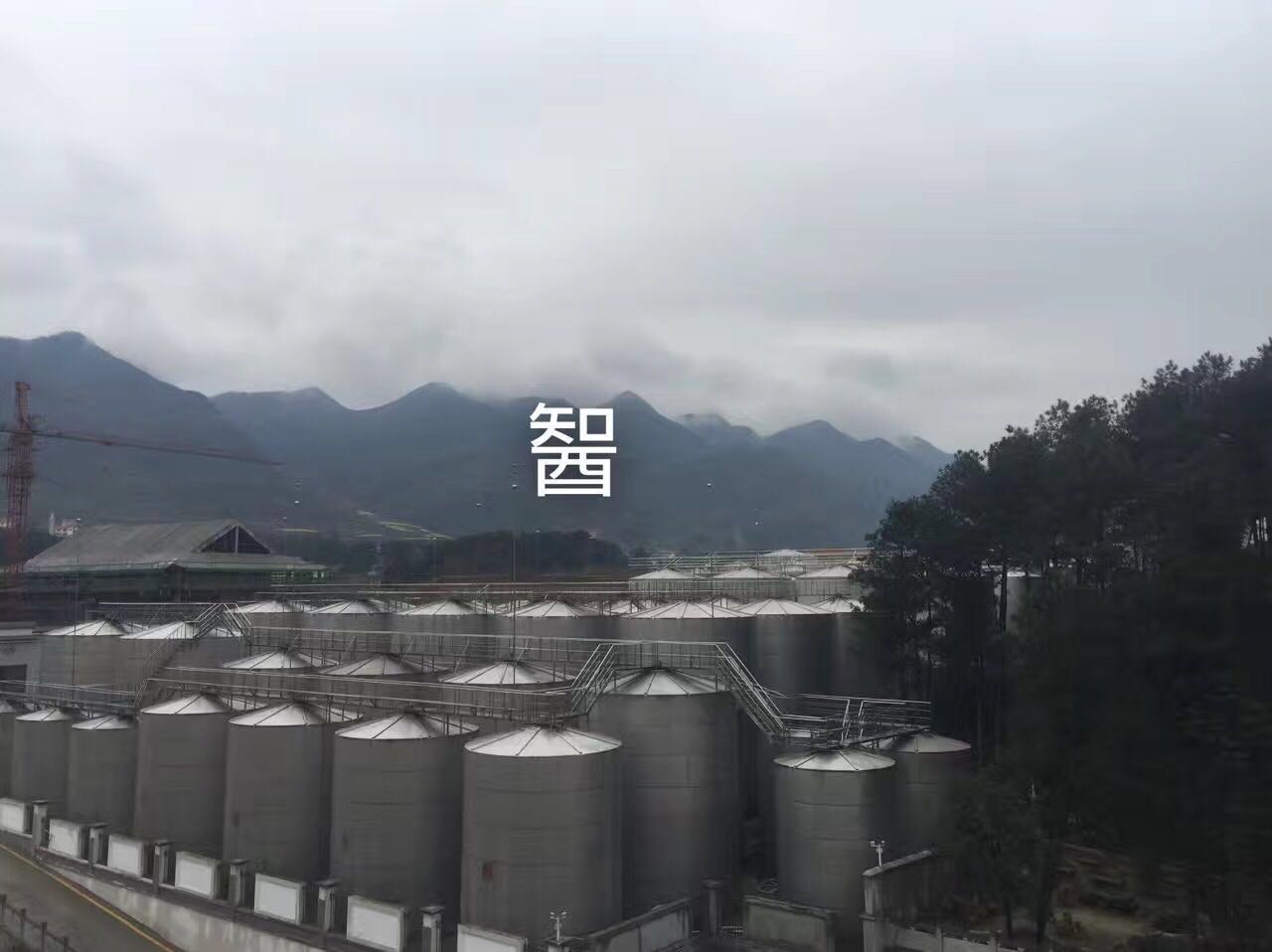 遵义市民族酒业集团酱香型基酒销售厂家