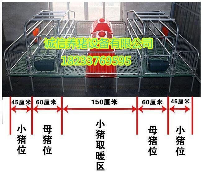 养猪设备母猪产床经济实惠型出售自制母猪分娩床图片