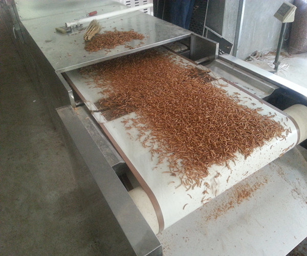 YH-30GM越弘微波芝麻醬殺菌圖片