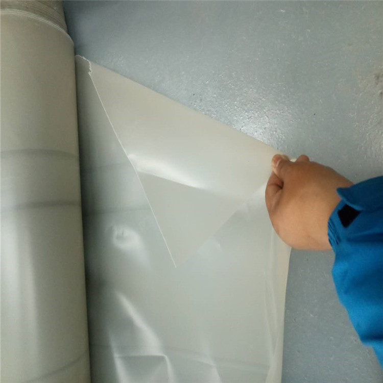 防滲膜藕池魚塘防滲HDPE土工膜圖片