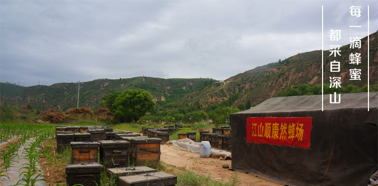 衢州市百花蜜厂家