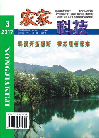 农家科技（中旬刊）图片