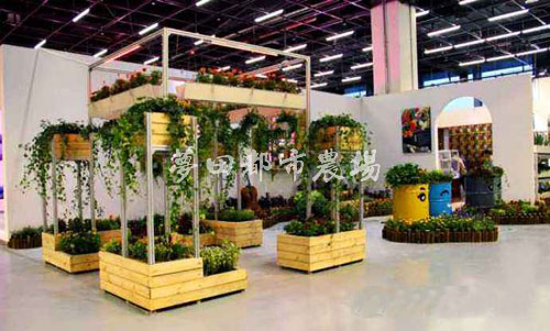 四川成都酒店農(nóng)場(chǎng)設(shè)計(jì)施工圖片