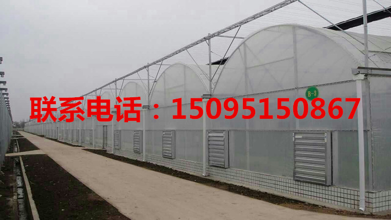 太原薄膜連棟溫室圖片