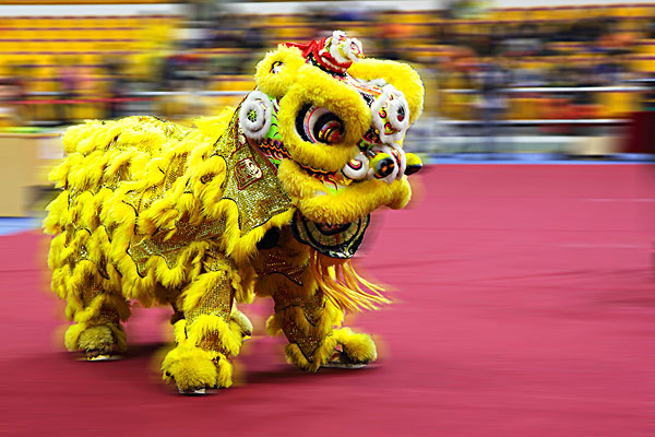 舞龍舞獅圖片/舞龍舞獅樣板圖 (2)