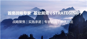 戰(zhàn)略咨詢公司圖片