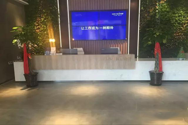 迪樂堡辦公室地坪